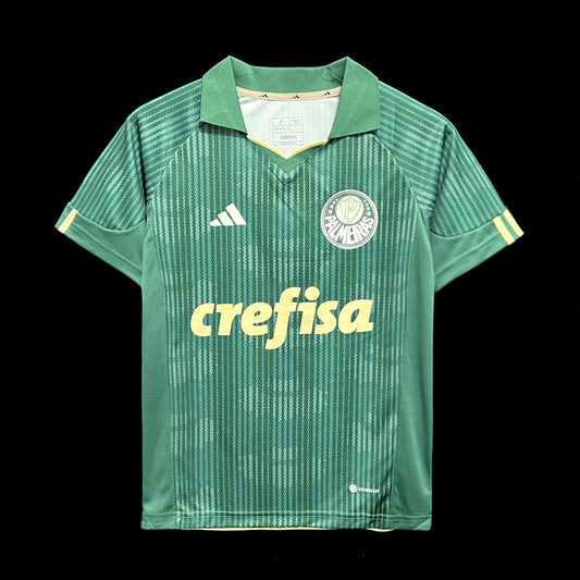 23/24 Palmeiras Special Edition Green Fan Version