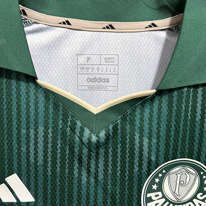 23/24 Palmeiras Special Edition Green Fan Version