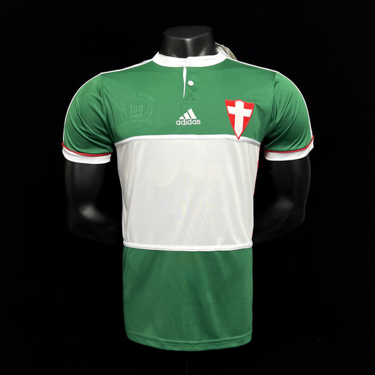 Retro Palmeiras 2014 Centennial Edition Green