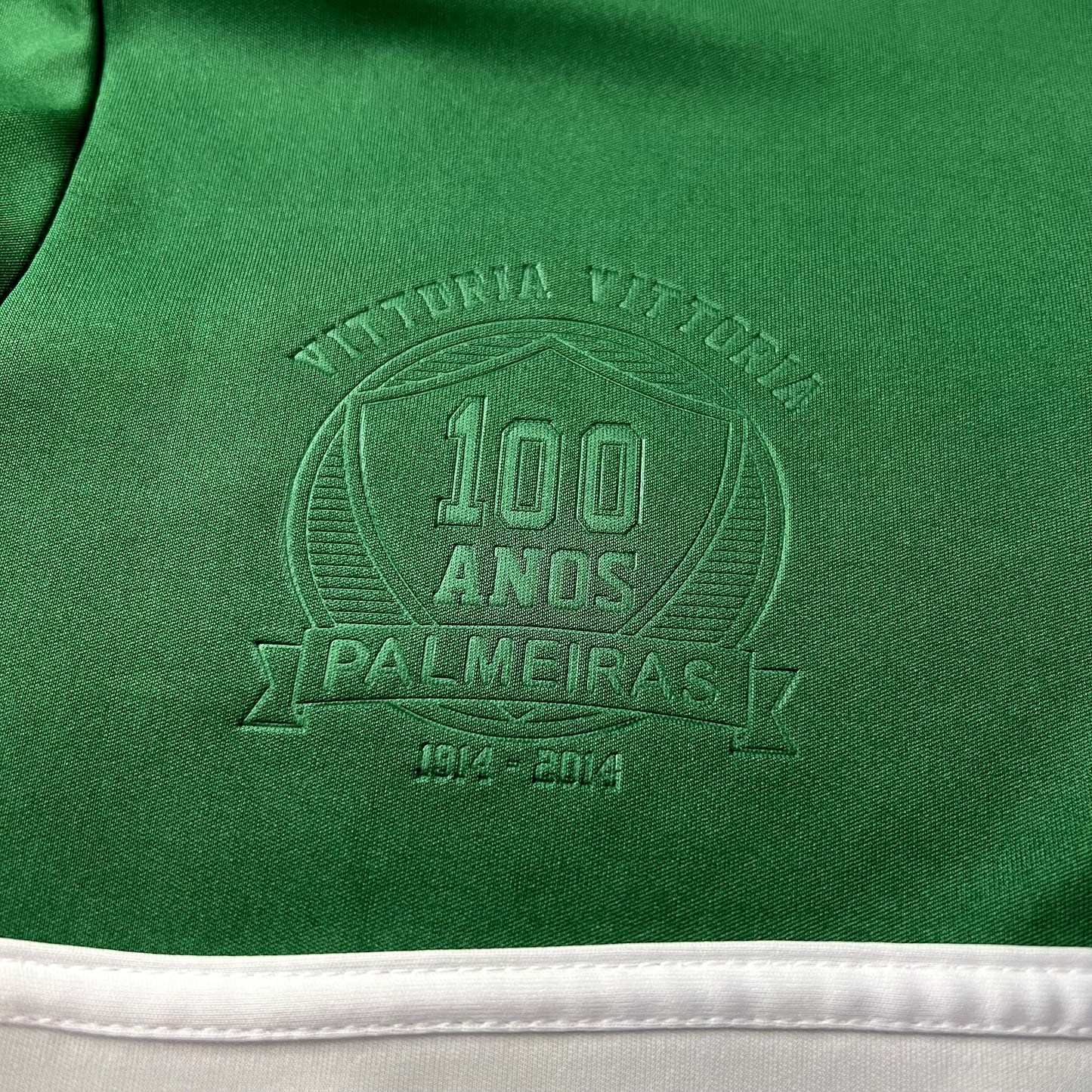 Retro Palmeiras 2014 Centennial Edition Green