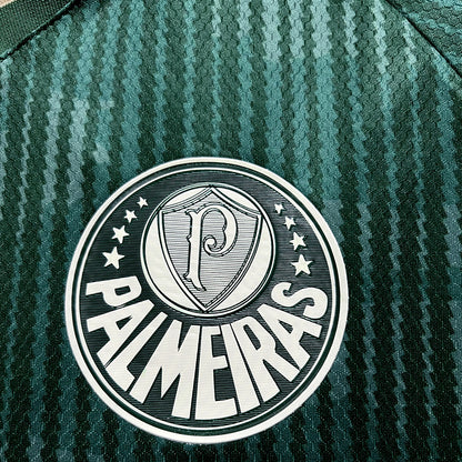 23/24 Palmeiras Special Edition Green Fan Version